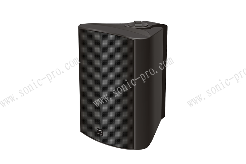 浙江IP40S IP网络POE塑料音箱