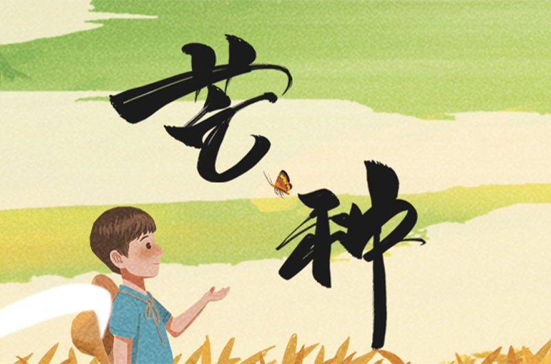 浙江二十四节气 | 芒种