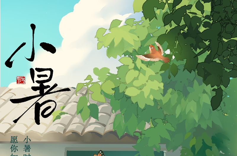 浙江小暑|悄然浙江小暑至，悠悠盛夏始