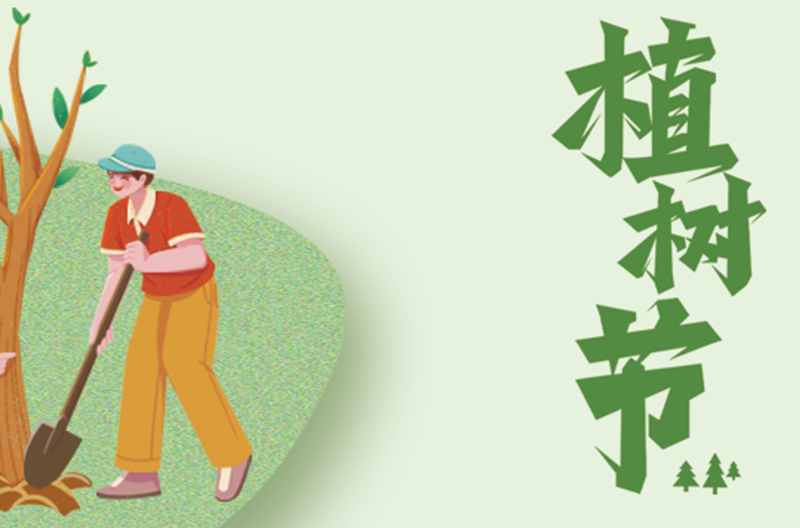 浙江3.12植树节|栽种生命的绿意，点亮自然的微光